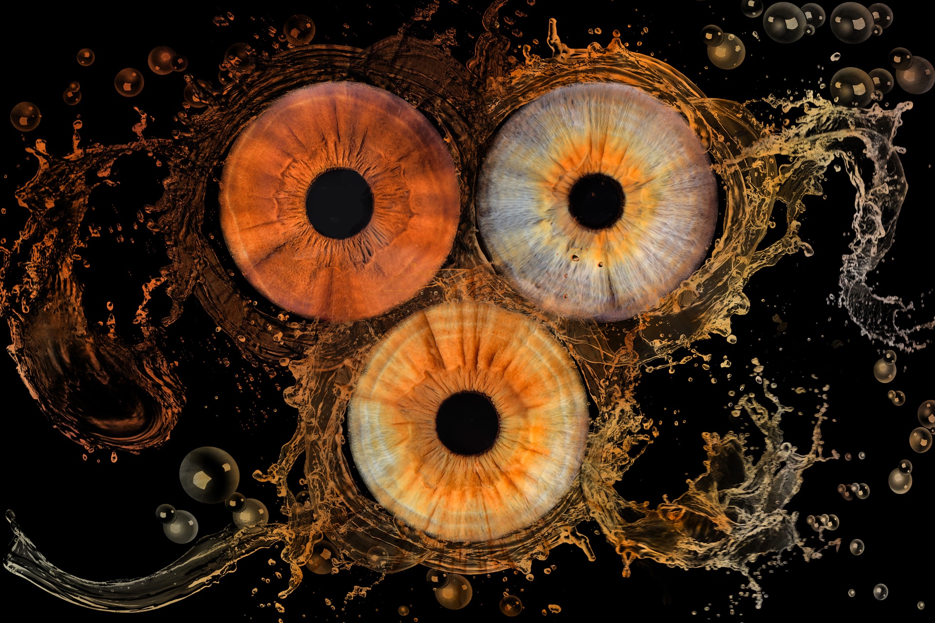 Iris Splash