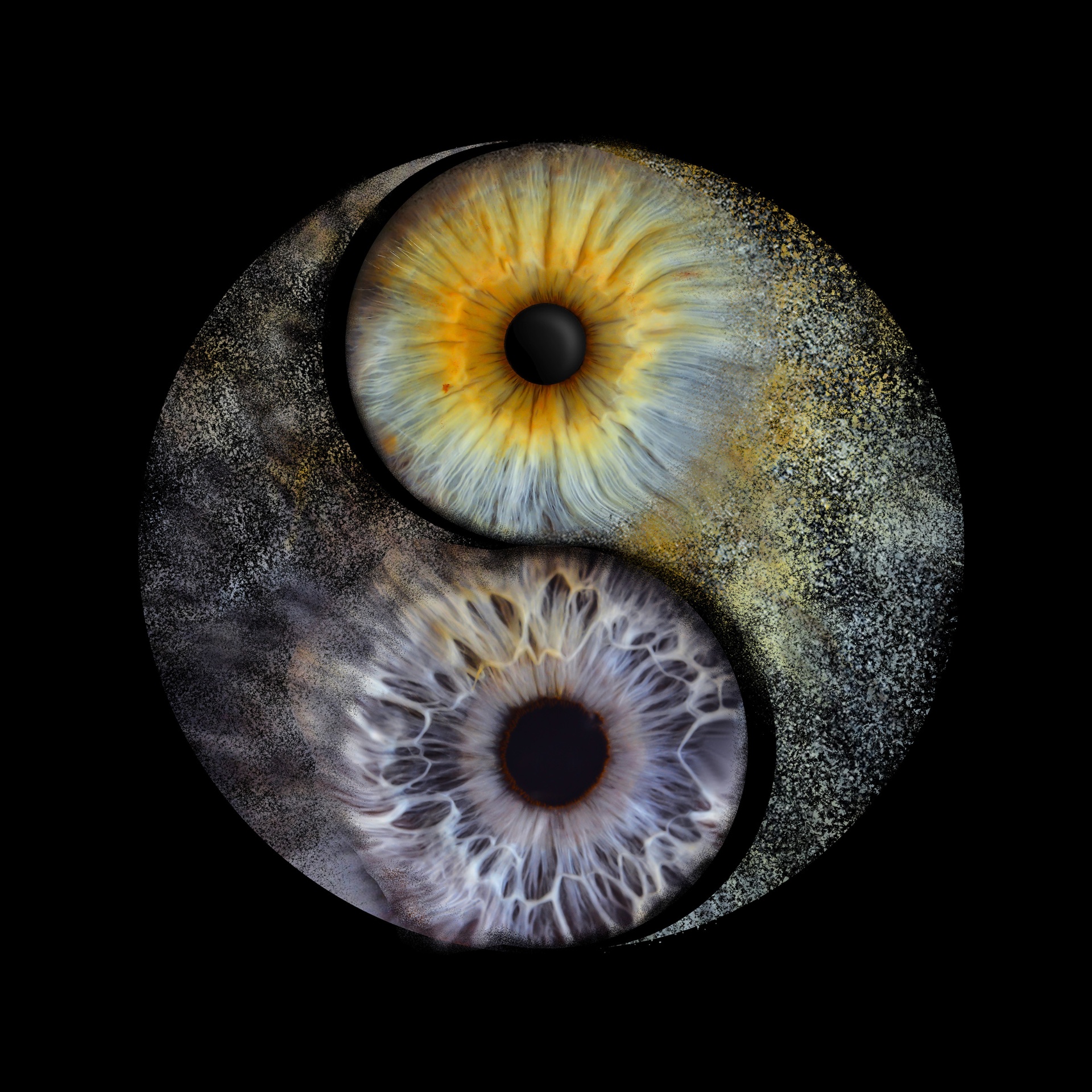 Iris Yin & Yang